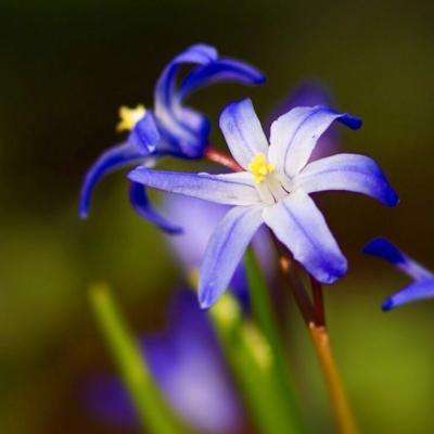 皇冠新体育APP手机app下载