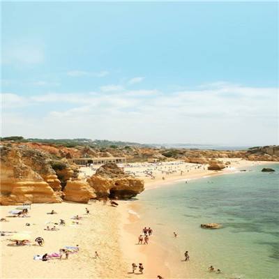 金星棋牌下载手机版截图